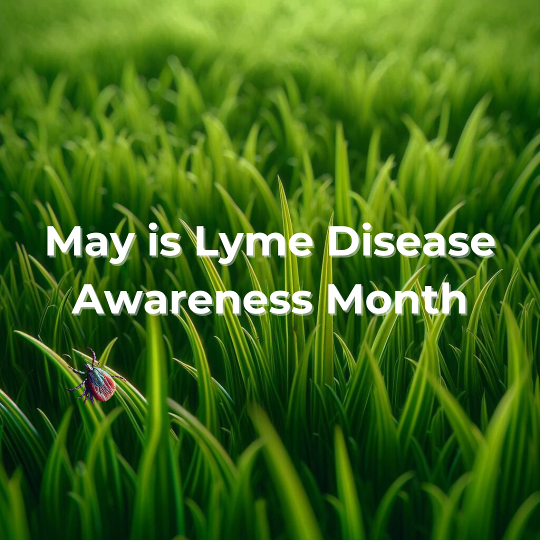 LYME DISEASE AWARENESS MONTH