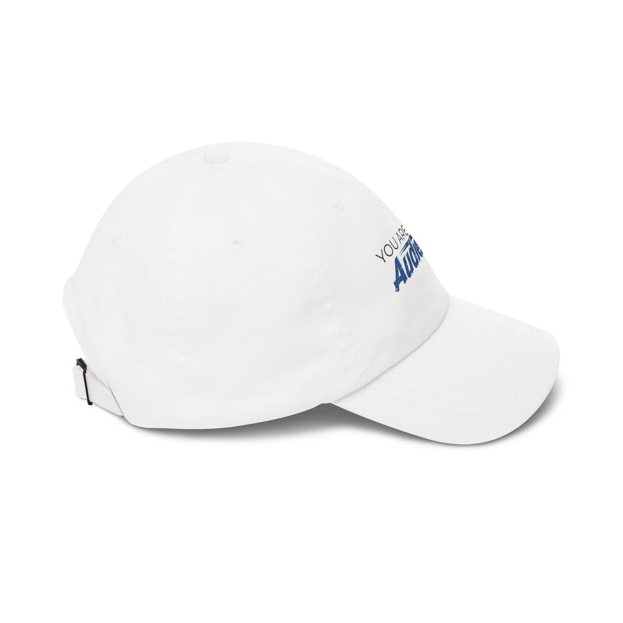 "You Are Not My Audience" Dad Cap