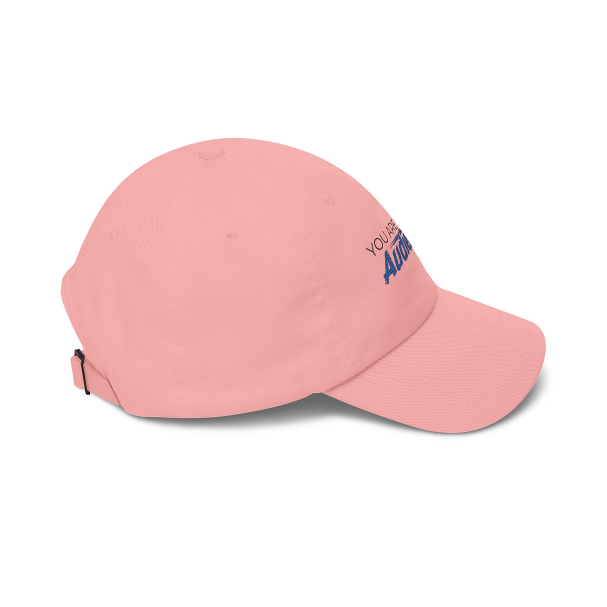 "You Are Not My Audience" Dad Cap